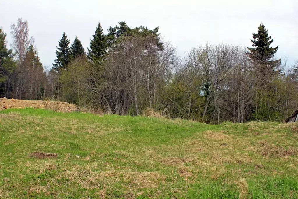 Участок в Карелия, Лахденпохский муниципальный округ, пос. Лумиваара  ... - Фото 1