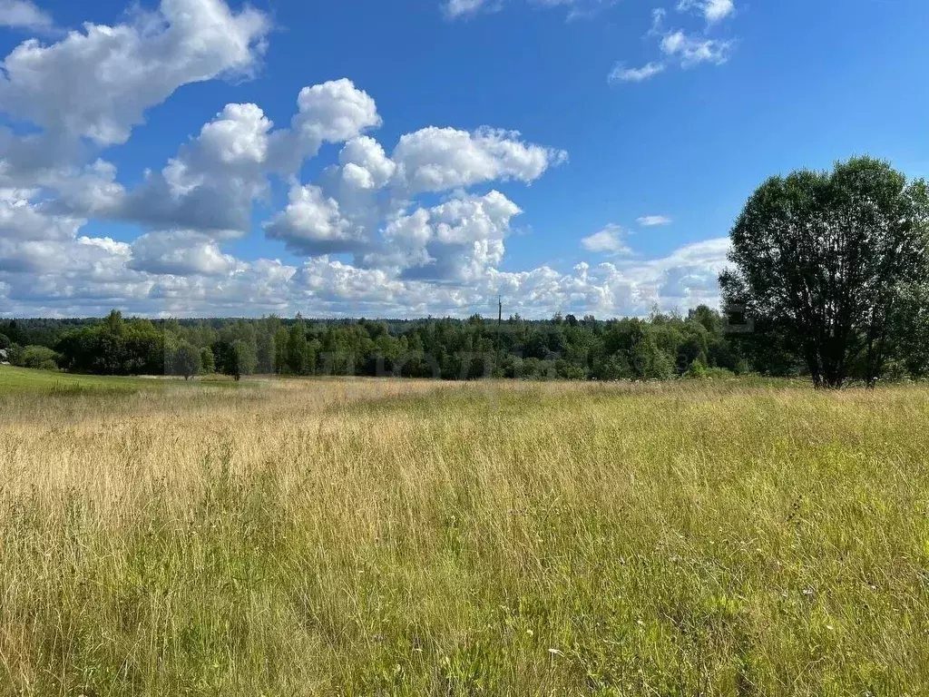 Участок в Новгородская область, Окуловка Славная ул., 26 (302.1 сот.) - Фото 1