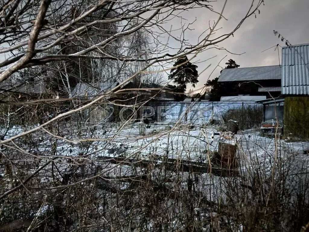 Участок в Тюменская область, Тюмень Топаз СНТ, ул. Центральная (6.0 ... - Фото 2
