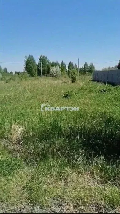 Участок в Новосибирская область, Новосибирский район, Кудряшовский ... - Фото 1
