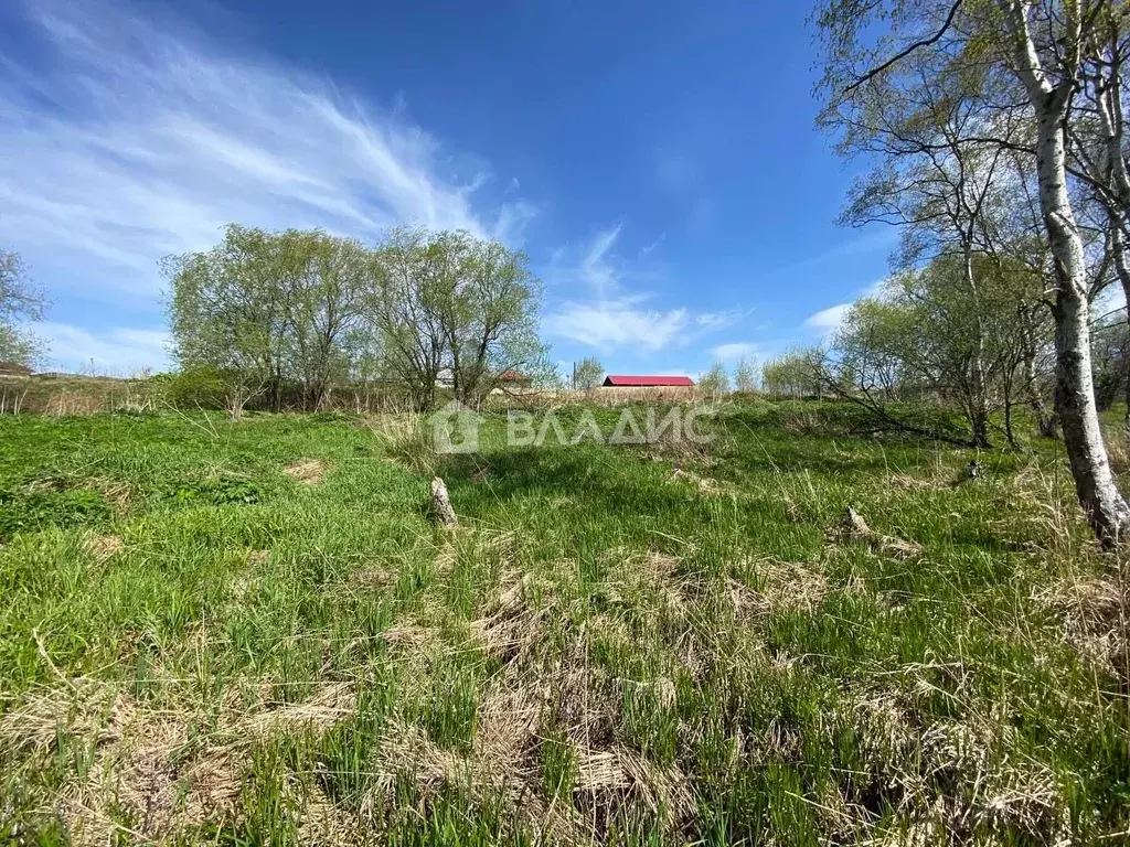 Участок в Сахалинская область, Корсаковский городской округ, с. ... - Фото 1