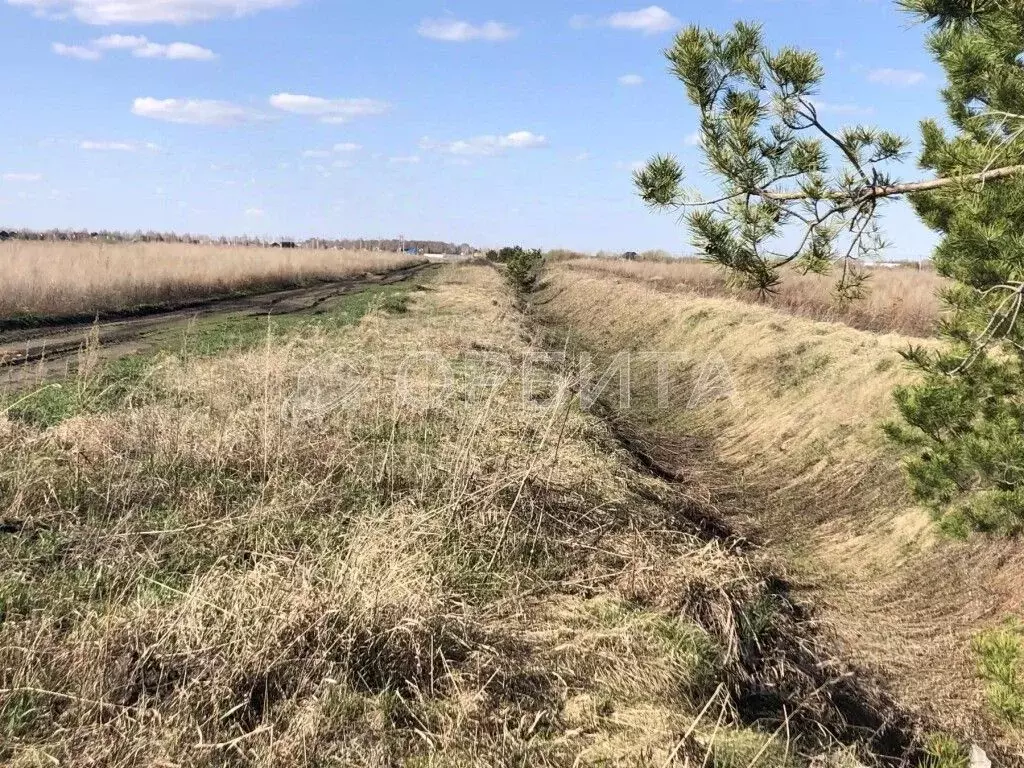 Участок в Тюменская область, Тюменский район, д. Есаулова ул. ... - Фото 0