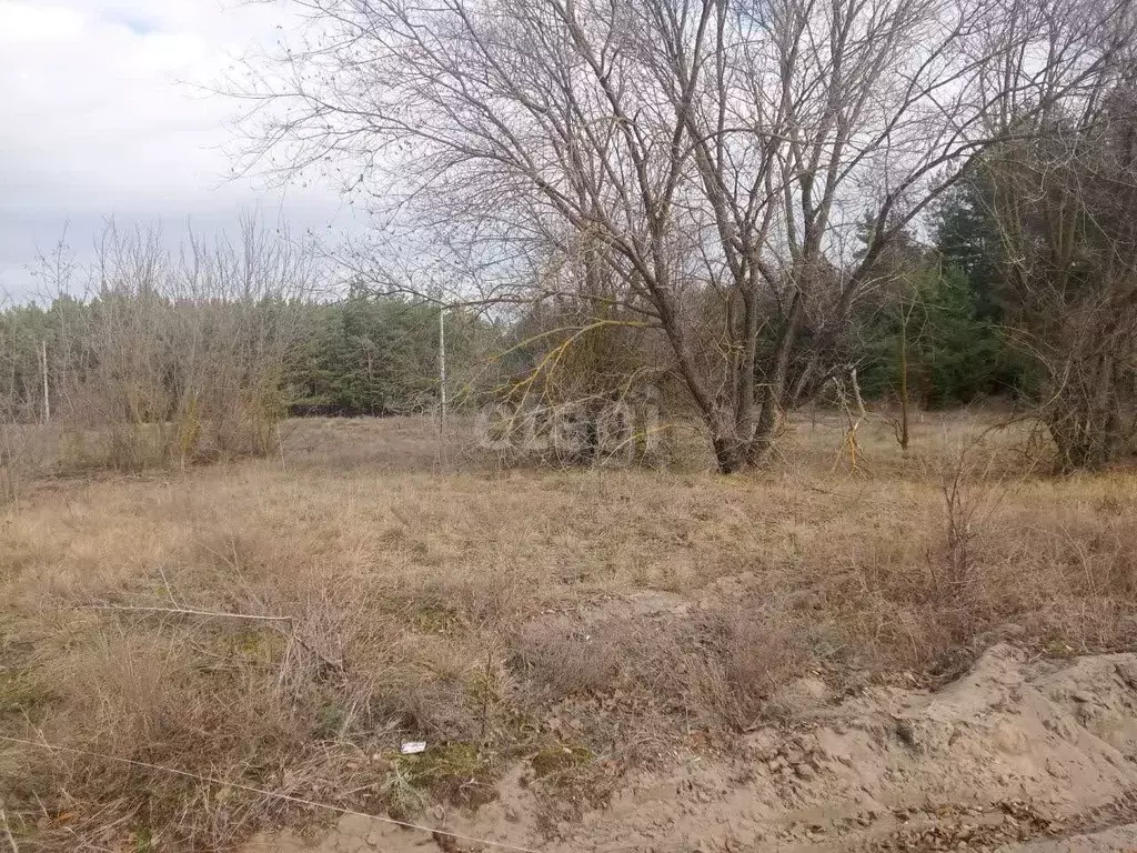 Участок в Белгородская область, Волоконовский район, Пятницкое рп ул. ... - Фото 0