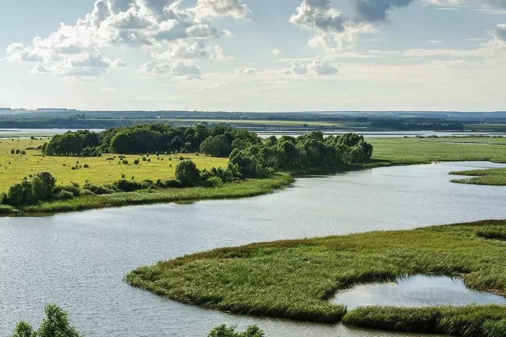 Участок в Татарстан, Верхнеуслонский район, Бурнашевское с/пос, д. ... - Фото 2