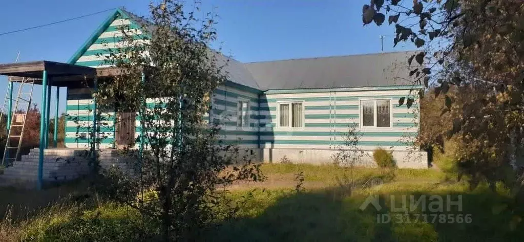 Дом в Амурская область, Благовещенск городской округ, с. Белогорье ул. ... - Фото 0