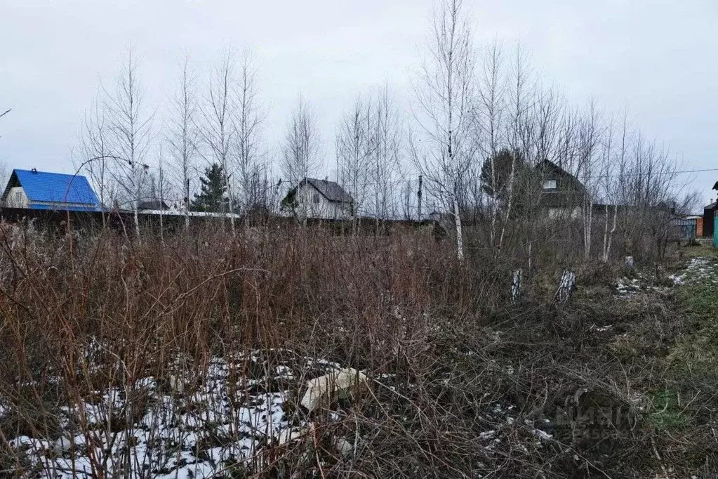 Участок в Свердловская область, Екатеринбург Горнощитский СНТ, 205 ... - Фото 2