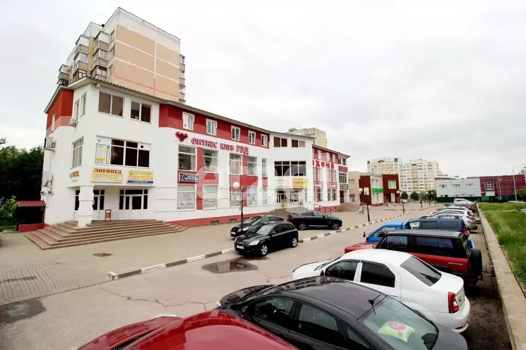 Торговая площадь в Белгородская область, Белгород ул. Щорса, 54 (1194 ... - Фото 2