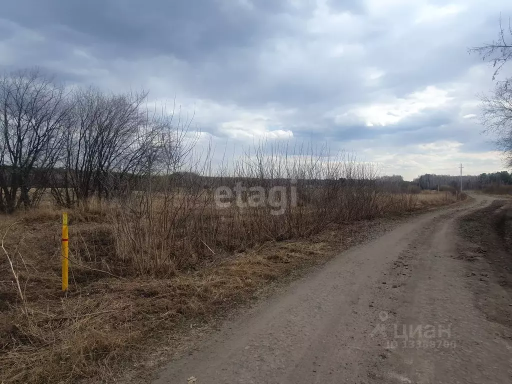 Участок в Курганская область, Далматово Советская ул. (15.0 сот.) - Фото 0