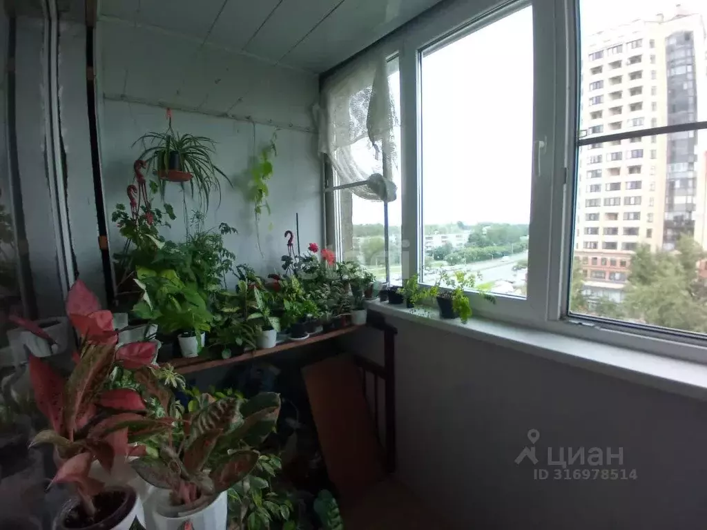 3-к кв. Псковская область, Псков Рижский просп., 53 (61.8 м) - Фото 1