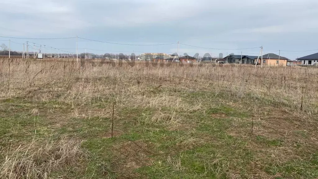 Участок в Адыгея, Майкоп городской округ, пос. Северный пер. Тихий ... - Фото 1