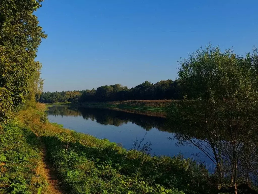 Участок в Московская область, Наро-Фоминский городской округ, д. ... - Фото 2