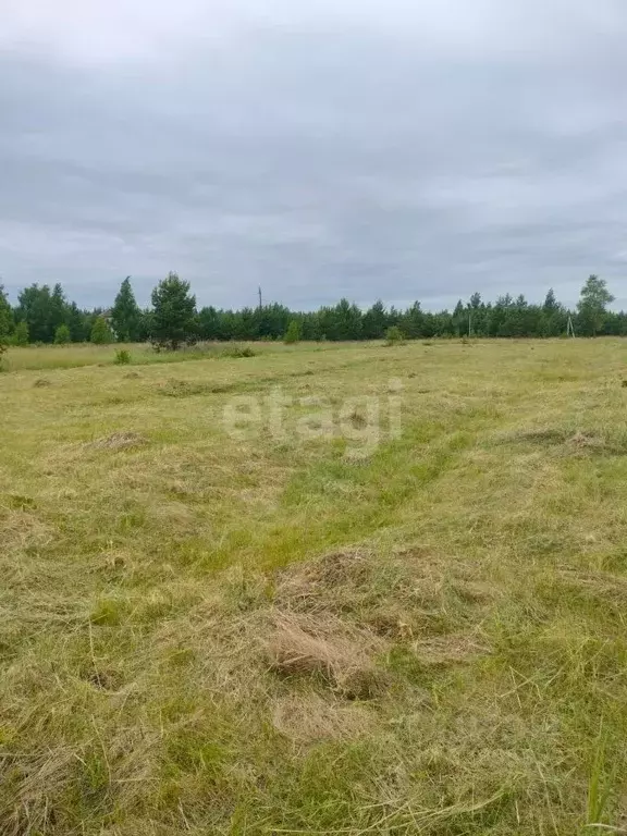 Участок в Липецкая область, Грязинский муниципальный округ, с. ... - Фото 2