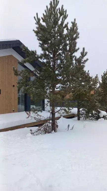 Дом в Свердловская область, Белоярский муниципальный округ, пос. ... - Фото 1