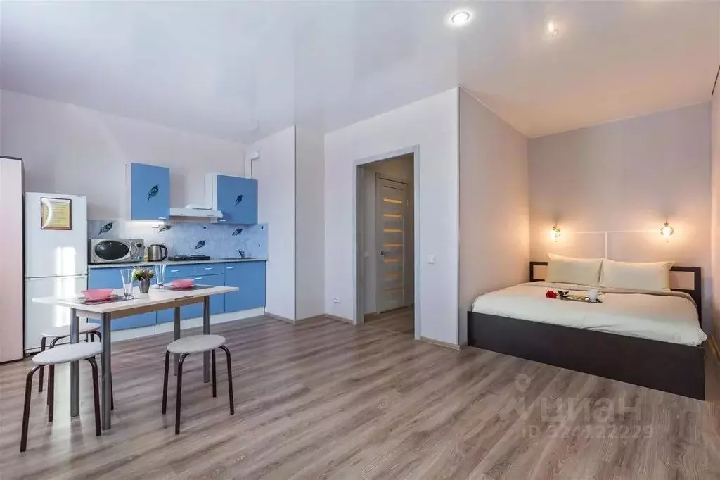 Студия Тюменская область, Тюмень ул. Дмитрия Менделеева, 2 (30.0 м) - Фото 2