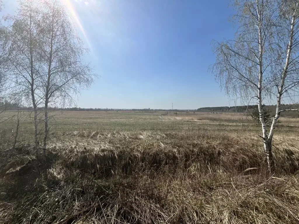 Участок в Московская область, Коломна городской округ, с. Чанки ул. ... - Фото 1