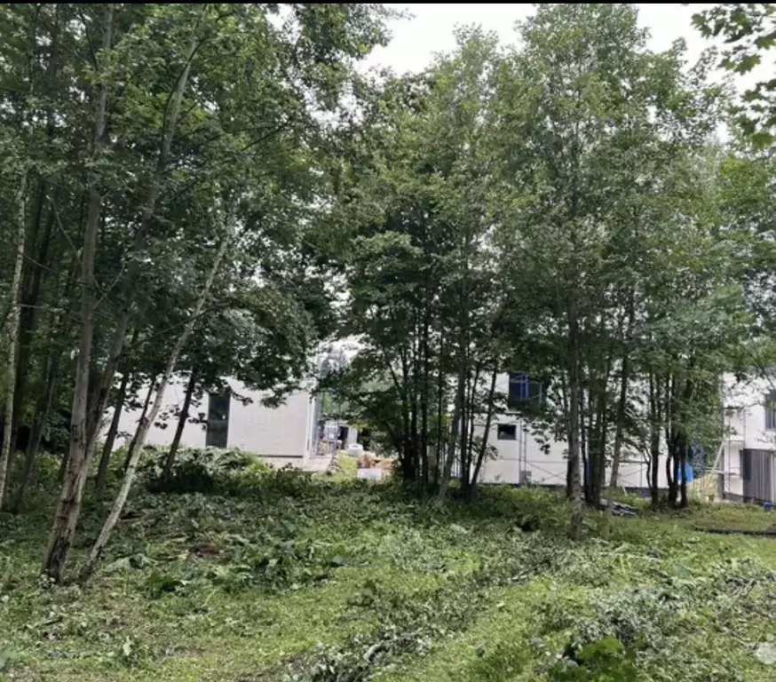 Участок в Москва № 9 кв-л,  (5.0 сот.) - Фото 1