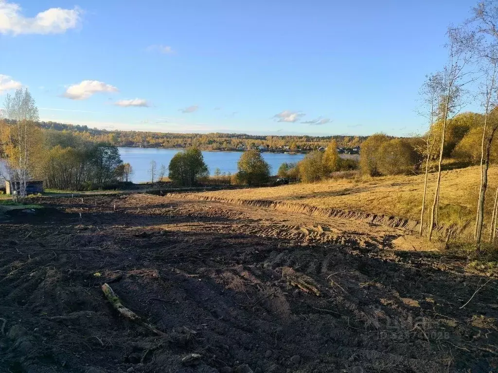 Участок в Ленинградская область, Лодейнопольский район, Алеховщинское ... - Фото 1