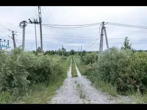 Участок 10 сот. (личное подсобное хозяйство (лпх)) - Фото 1