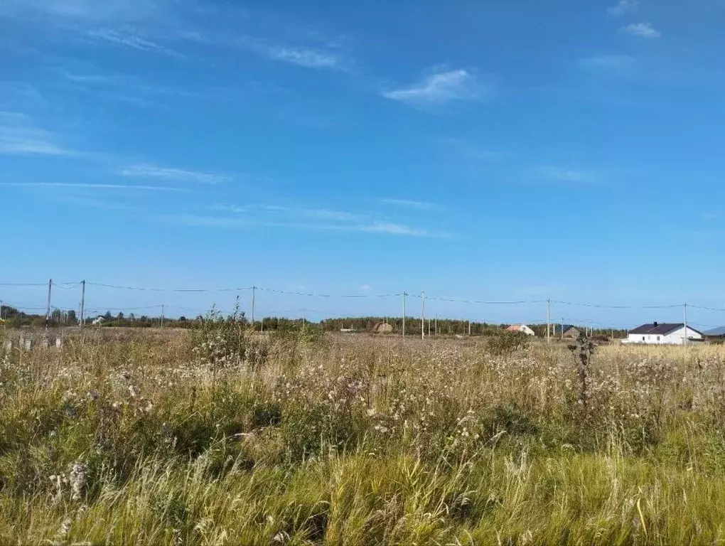 Участок в Костромская область, Кострома ул. Анатолия Соколова (10.2 ... - Фото 2