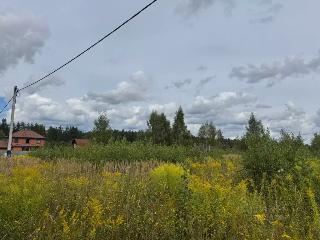 Участок в Ярославская область, Ярославский муниципальный округ, с. ... - Фото 2