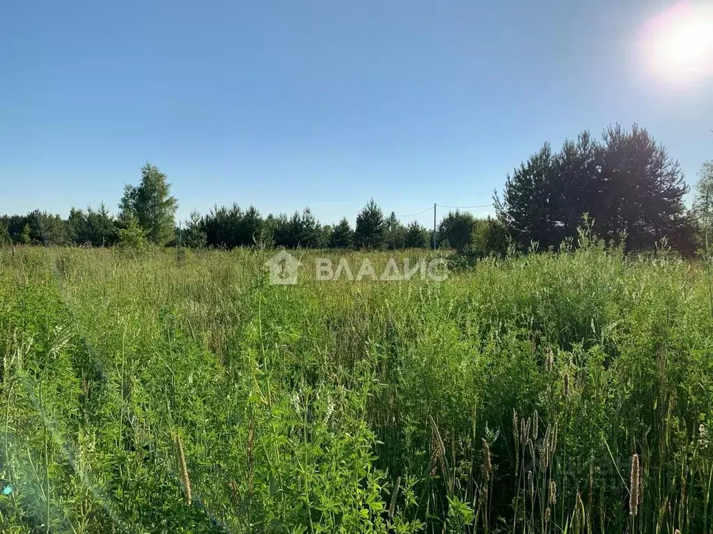 Участок в Владимирская область, Ковров Линейная ул. (10.0 сот.) - Фото 0