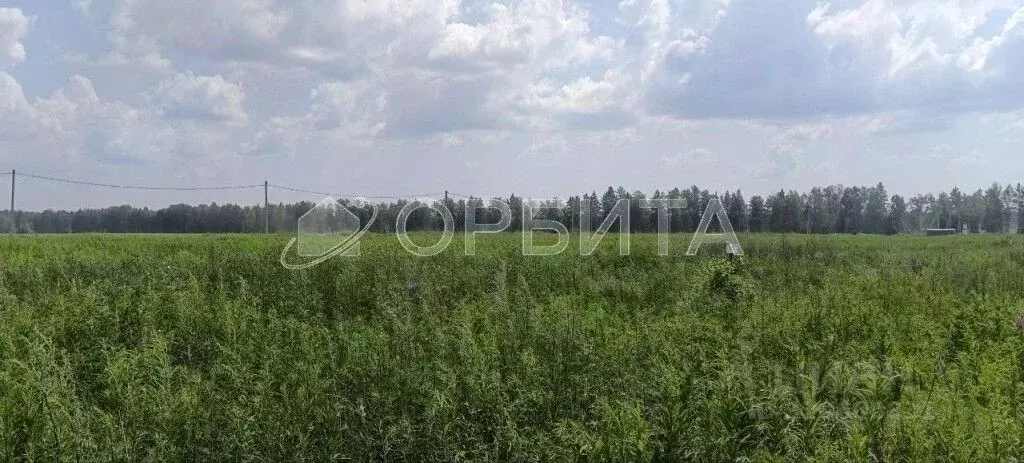 Участок в Тюменская область, Тюменский район, д. Елань 14 (5.0 сот.) - Фото 1