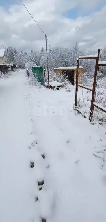 Дом в Пермский край, Пермский муниципальный округ, Лазурный СНТ 91 (40 ... - Фото 2