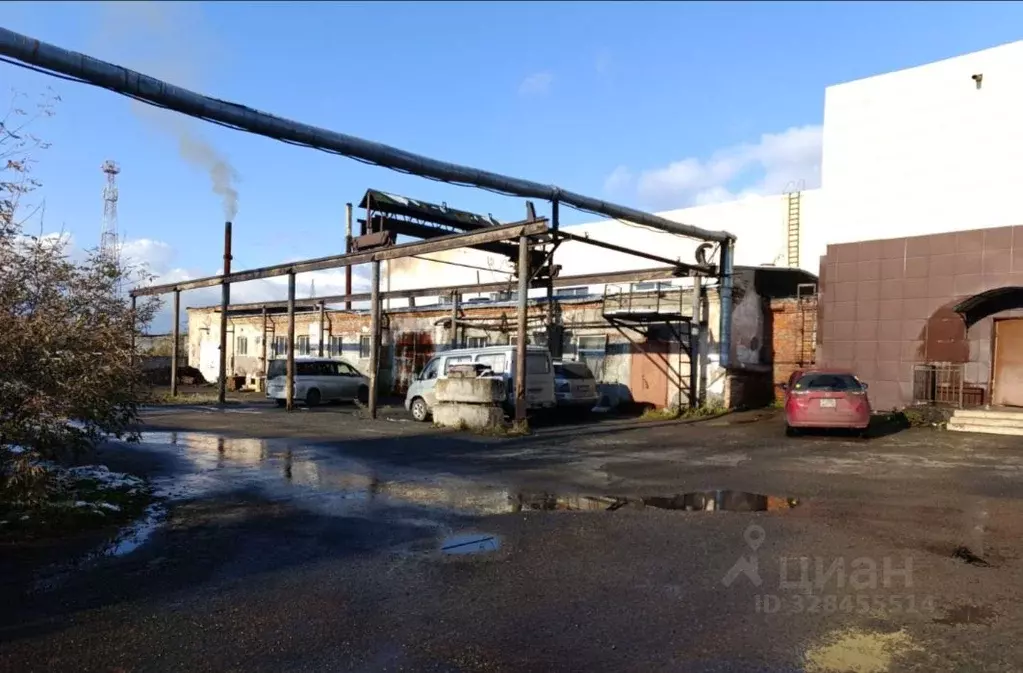 Помещение свободного назначения в Томская область, Томск Спичфабрика ... - Фото 1