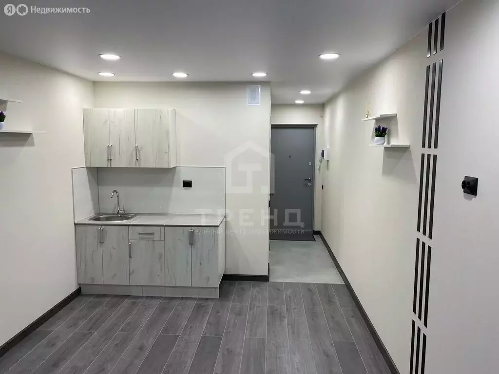 Квартира-студия: Мурино, Графская улица, 6к1 (20.3 м) - Фото 2