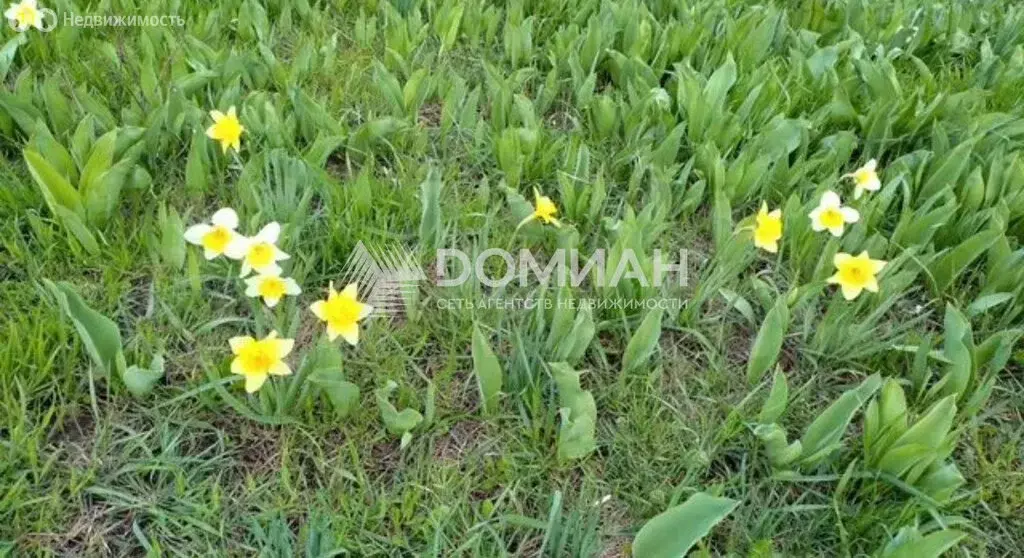 Участок в Октябрьский район, слобода Красюковская (10 м) - Фото 1