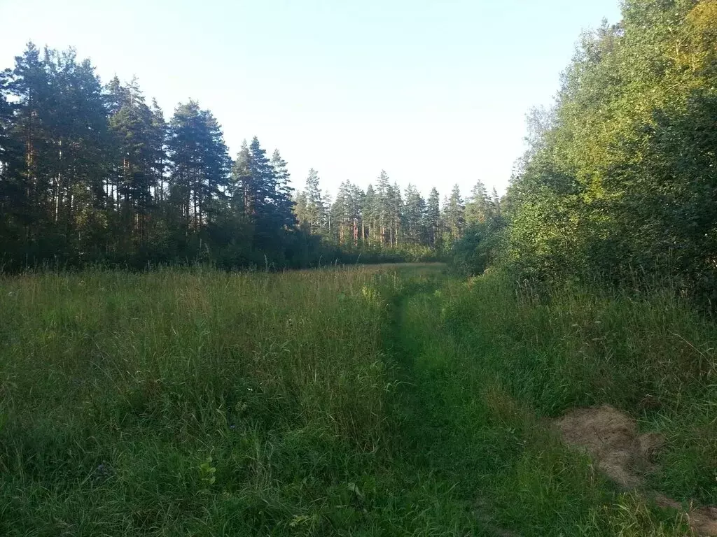 Участок в Плодовское сельское поселение (20 м) - Фото 1