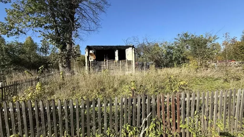 Участок в Ленинградская область, Киришский район, Будогощское ... - Фото 1