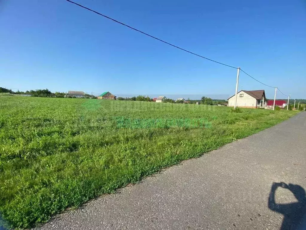 Участок в Белгородская область, Прохоровский район, с. Беленихино ул. ... - Фото 2