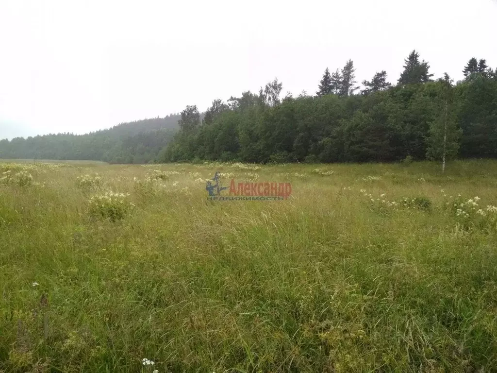 Участок в Карелия, Лахденпохский муниципальный округ, пос. Микли  ... - Фото 1