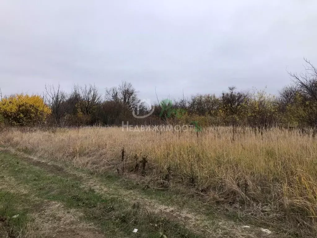 Участок в Краснодарский край, Ейское городское поселение, пос. ... - Фото 1
