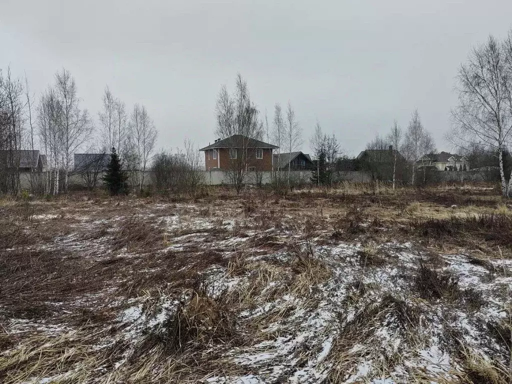 Участок в Московская область, Чехов муниципальный округ, с. Молоди  ... - Фото 0