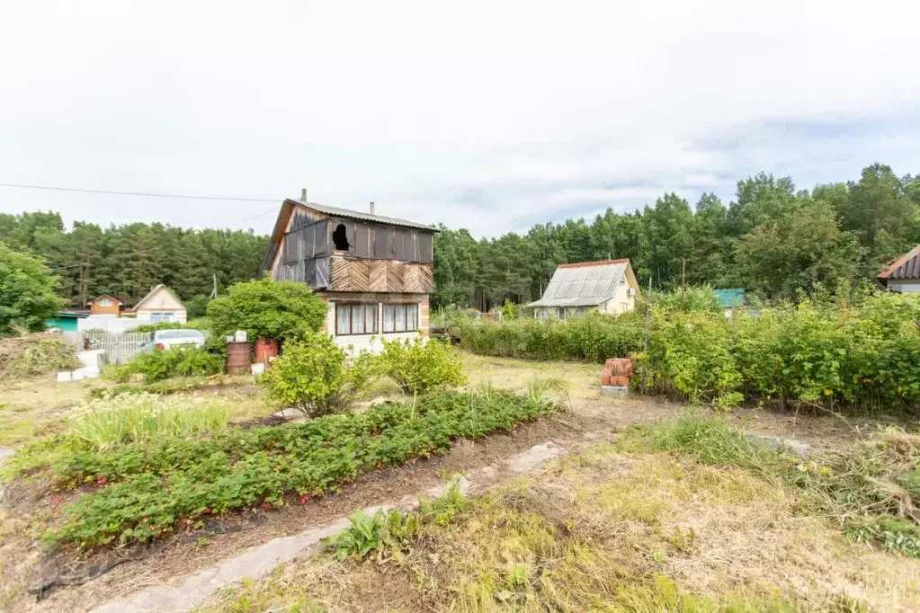 Дом в Тюменская область, Тобольский муниципальный округ, Башковское ... - Фото 1