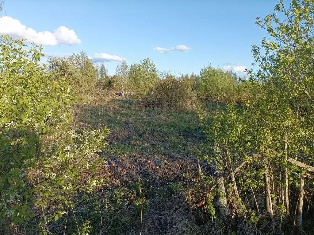 Дом в Вологодская область, д. Плющево  (38 м) - Фото 1