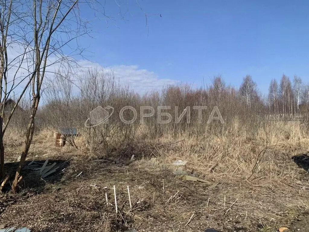 Участок в Тюменская область, Нижнетавдинский район, Фортуна СТ ул. ... - Фото 1
