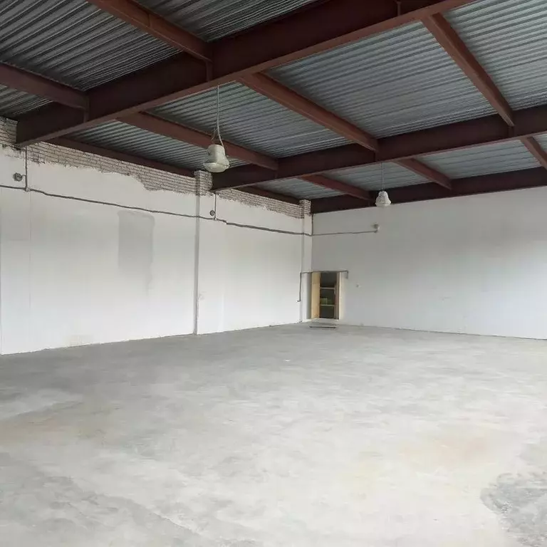 Помещение свободного назначения в Ленинградская область, Всеволожск ш. ... - Фото 2