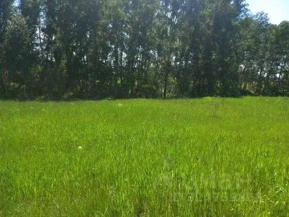 Участок в Новосибирская область, Новосибирский район, Морской ... - Фото 1