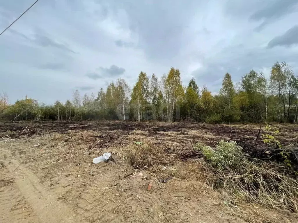 Участок в Тюменская область, Тюмень Россиянка садовое товарищество, ... - Фото 1