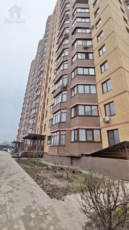 1-к кв. Воронежская область, Воронеж ул. Антонова-Овсеенко, 7л (40.0 ... - Фото 1