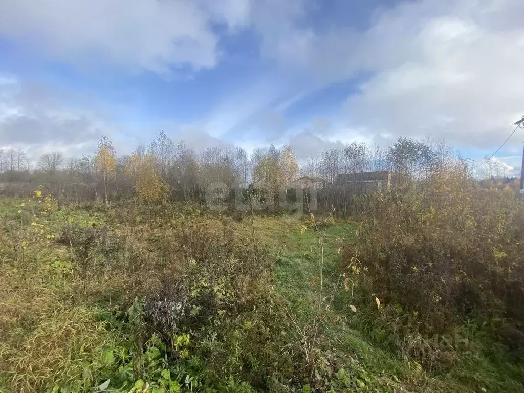 Участок в Вологодская область, пос. Грибково ул. Тимофеевская (10.0 ... - Фото 1