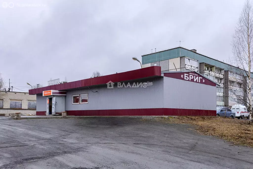 Помещение свободного назначения (247.3 м) - Фото 2