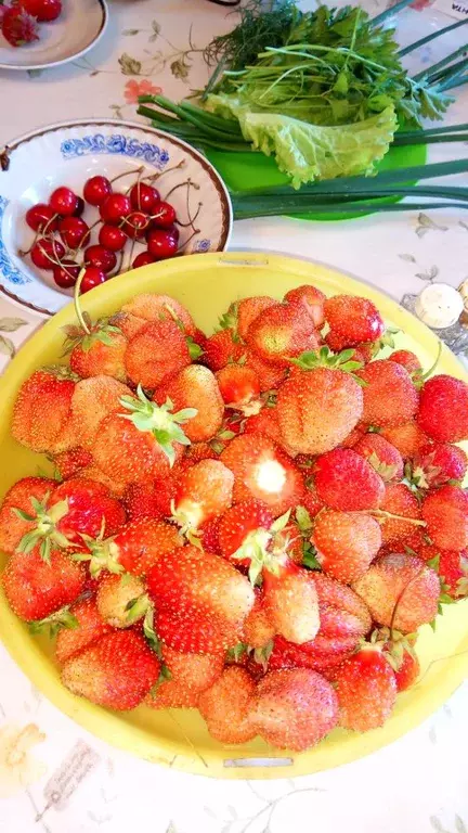 Дом в Свердловская область, Богданович муниципальный округ, с. Бараба  ... - Фото 1