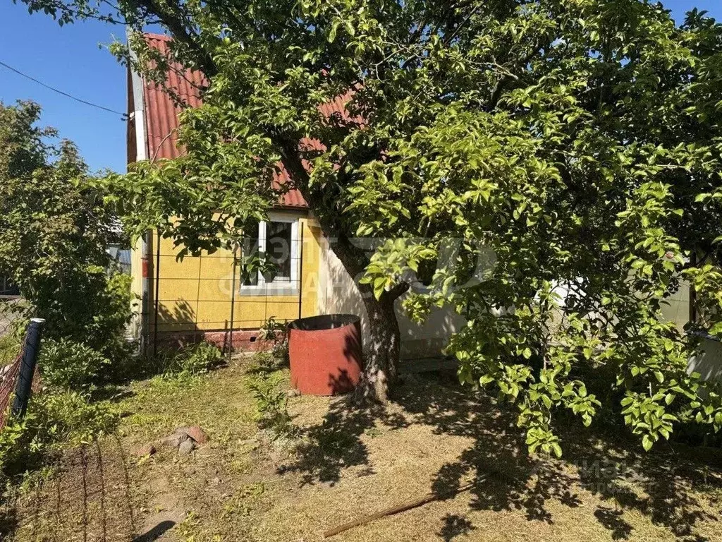 Дом в Калининградская область, Калининград Дружба-2 СНТ, проезд ... - Фото 1