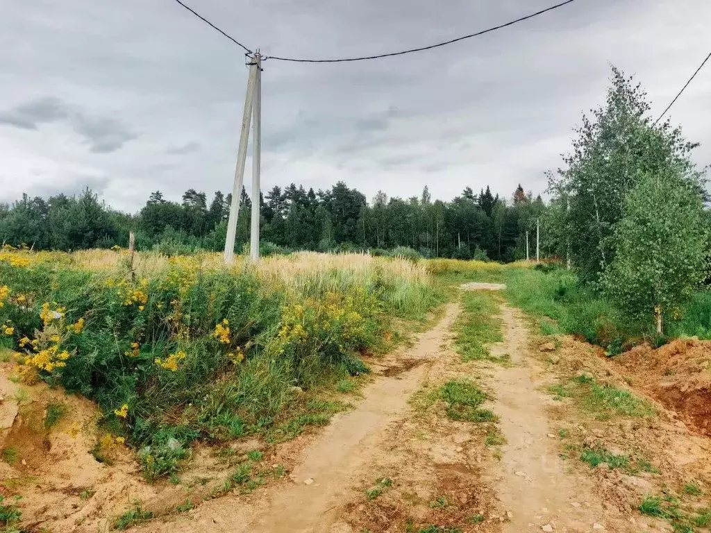Участок в Калужская область, Малоярославецкий муниципальный округ, ... - Фото 2