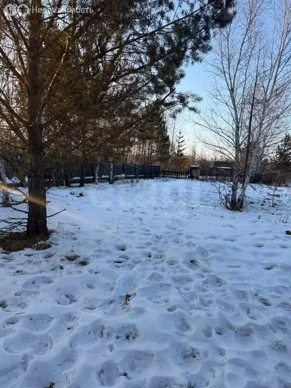 Участок в Читинский район, СНТ Карповское (10 м) - Фото 2