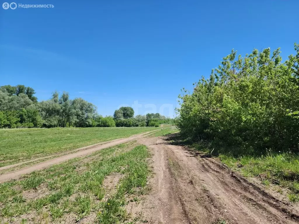 Участок в Наумовский сельсовет, СНТ Майское (6.98 м) - Фото 1